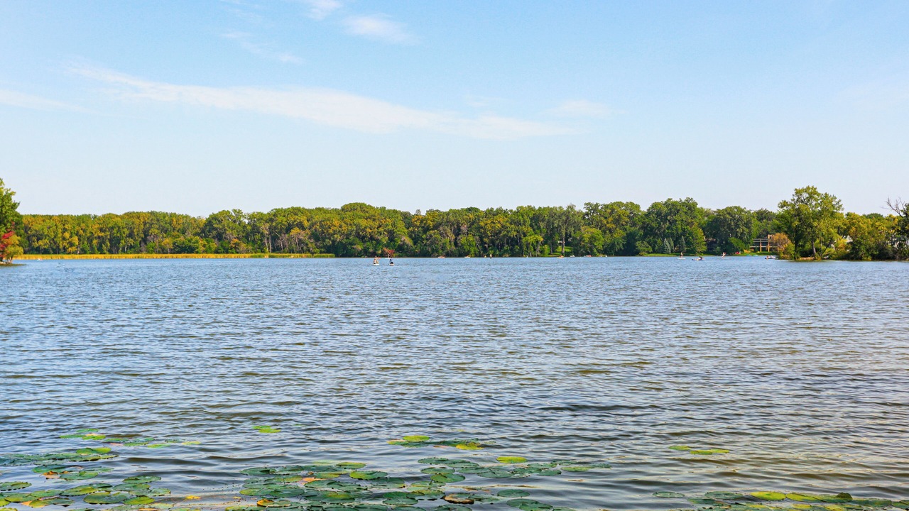 Photo of Others in Calhoun Isles