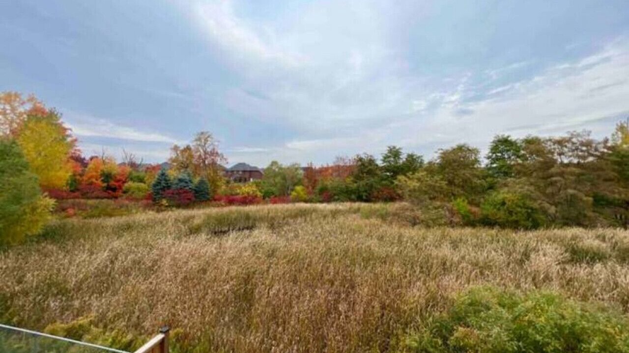 Photo of Outdoor in Kitchener