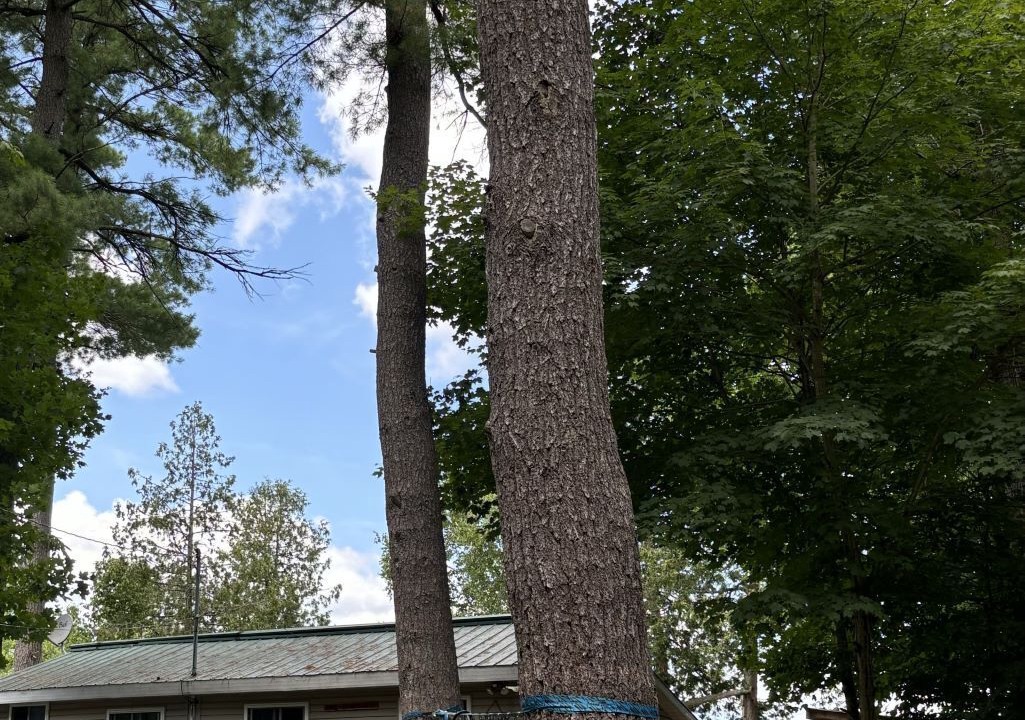 Photo of Outdoor in Frontenac