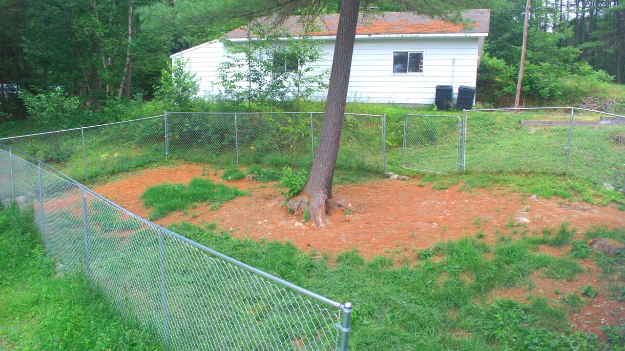 Photo of Others in Chalk River