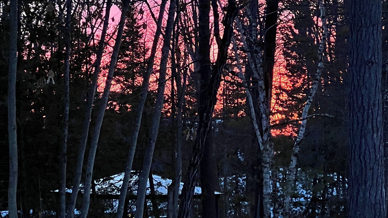 Photo of Outdoor in Trent Lakes