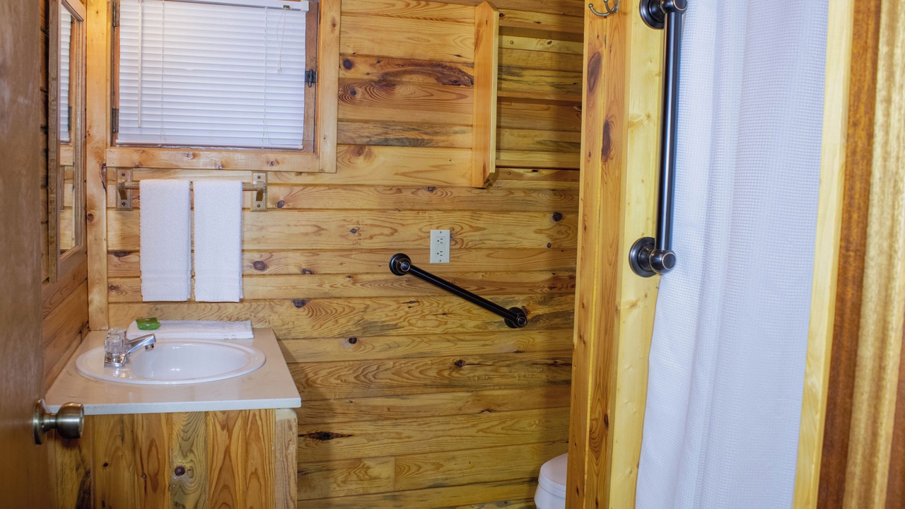 Photo of Bathroom in Walker