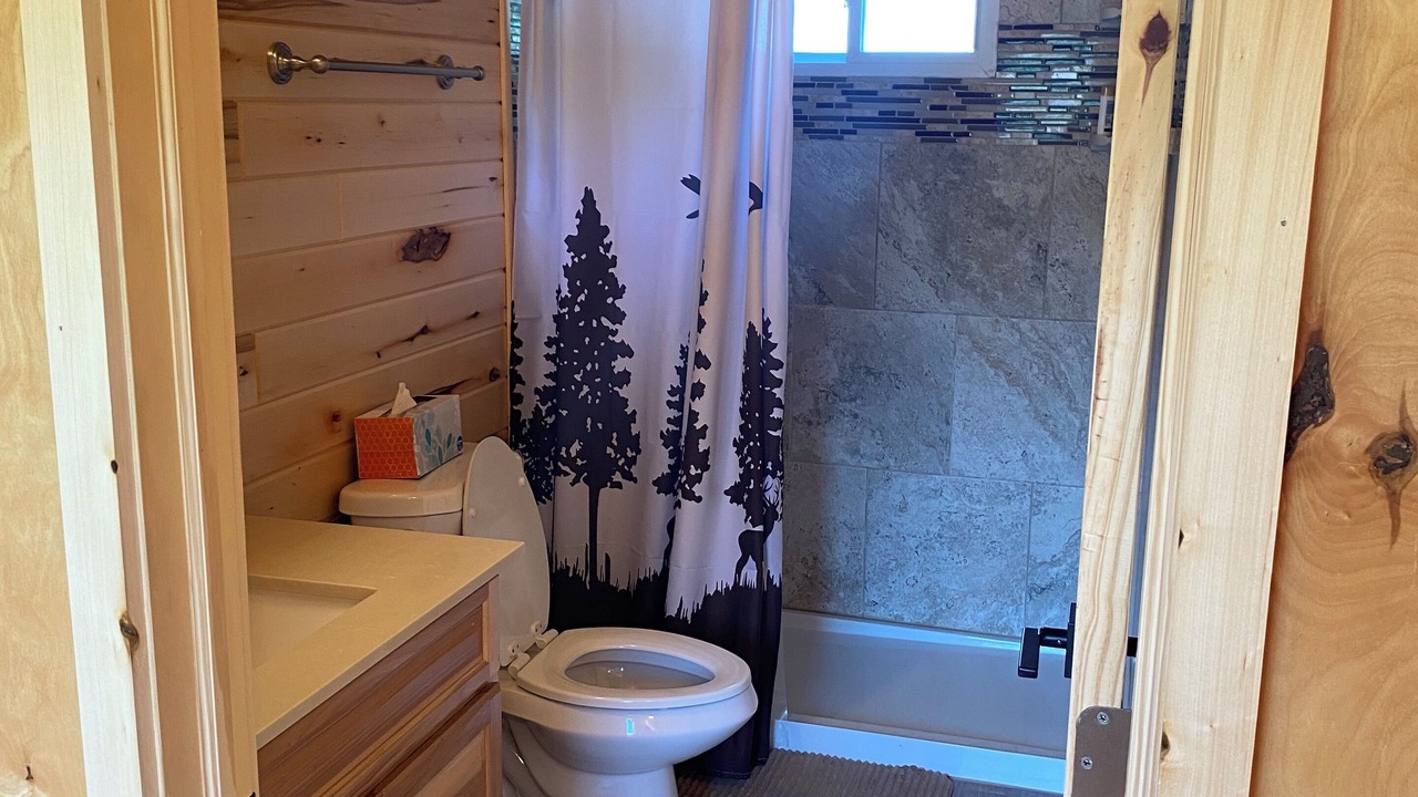 Photo of Bathroom in Cass Lake