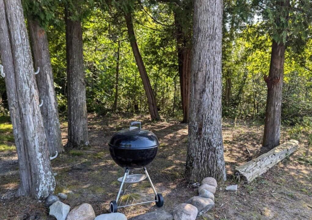 Photo of Outdoor in Tiny