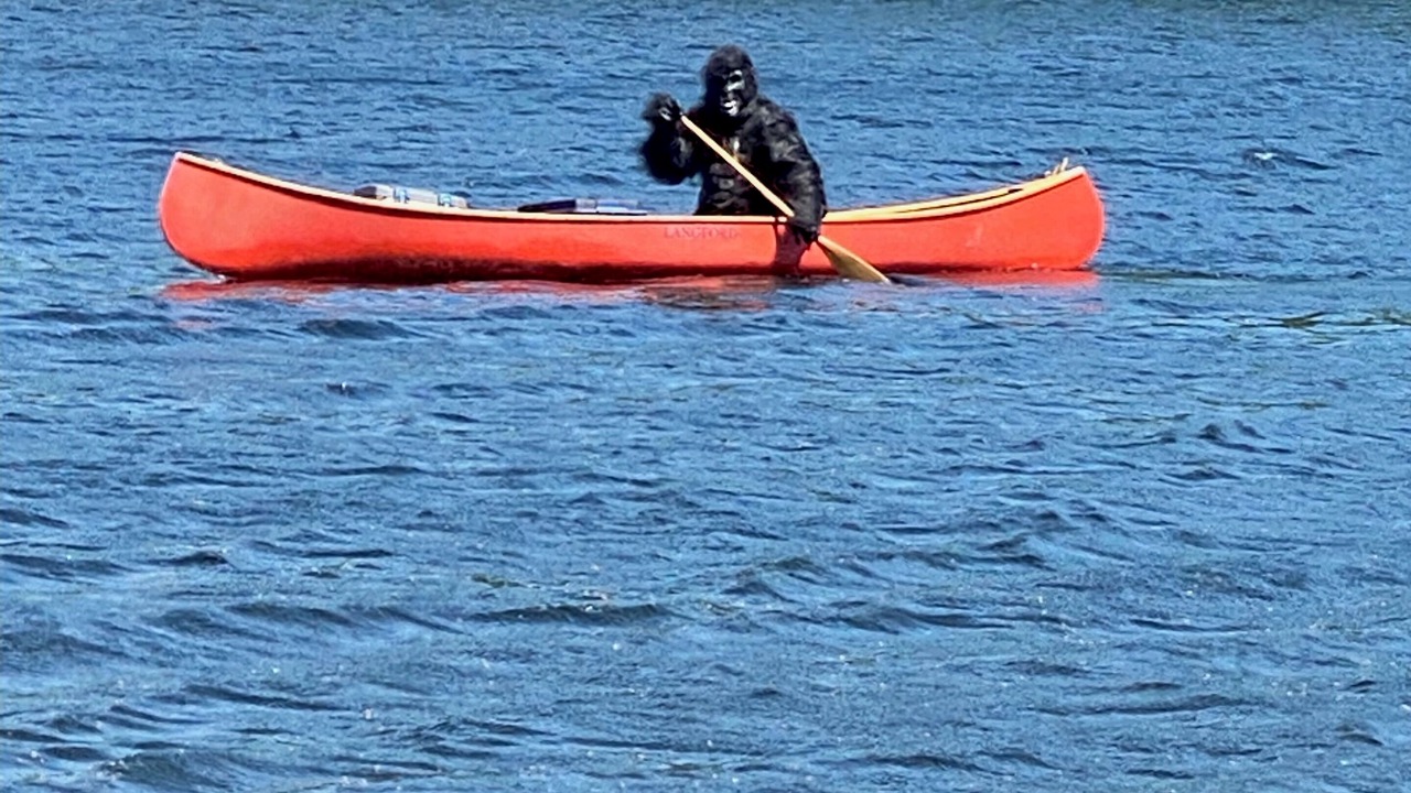 Photo of Others in Minden