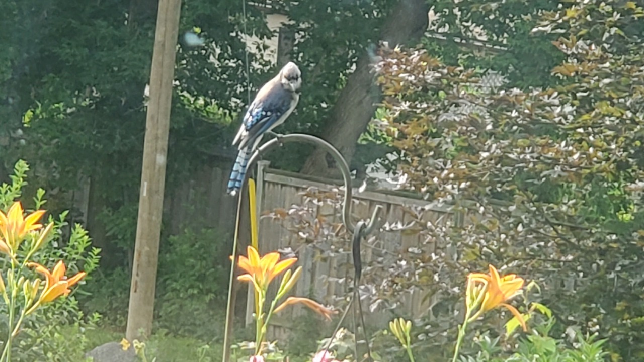 Photo of Outdoor in Minden
