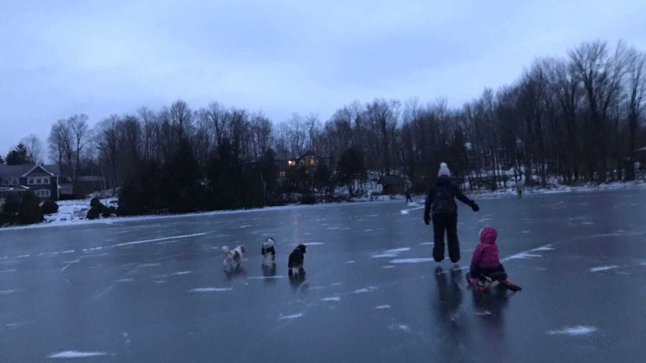 Photo of Others in Rideau Lakes