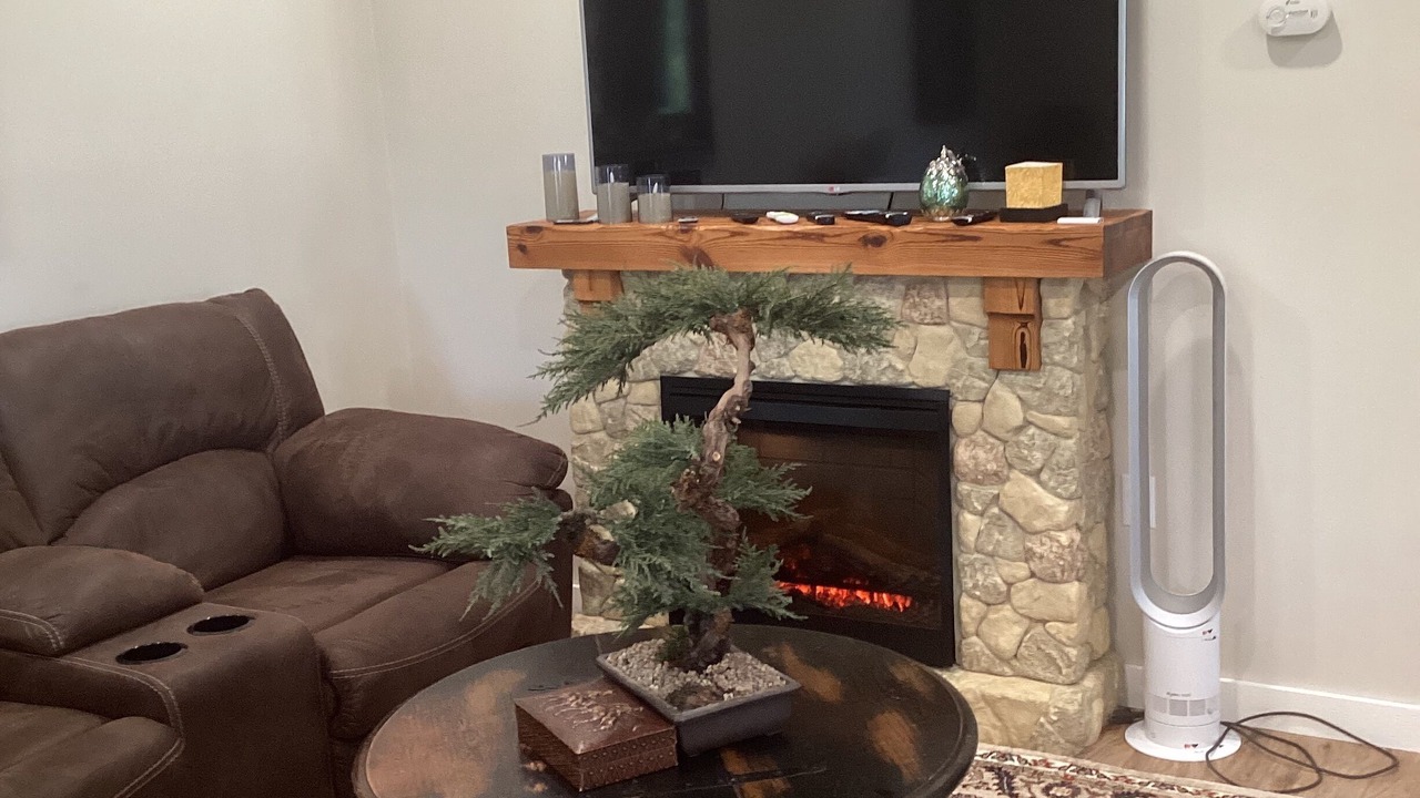 Photo of Livingroom in Algoma District
