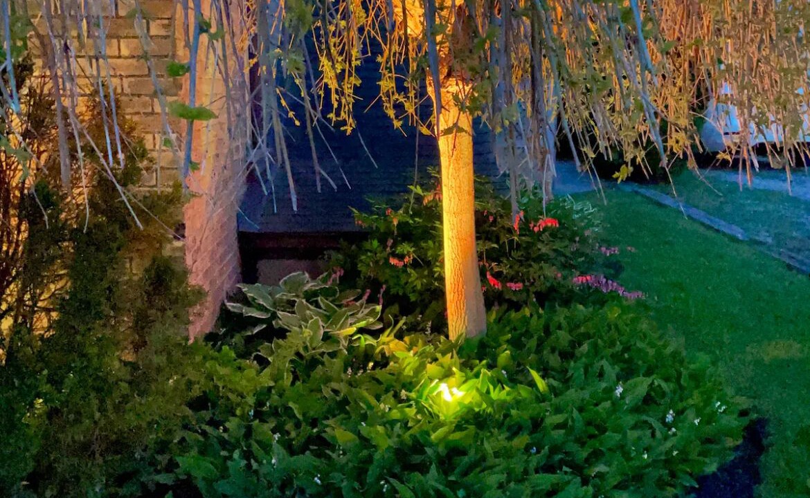 Photo of Outdoor in Shakespeare