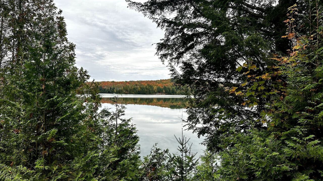 Photo of Others in Scotia
