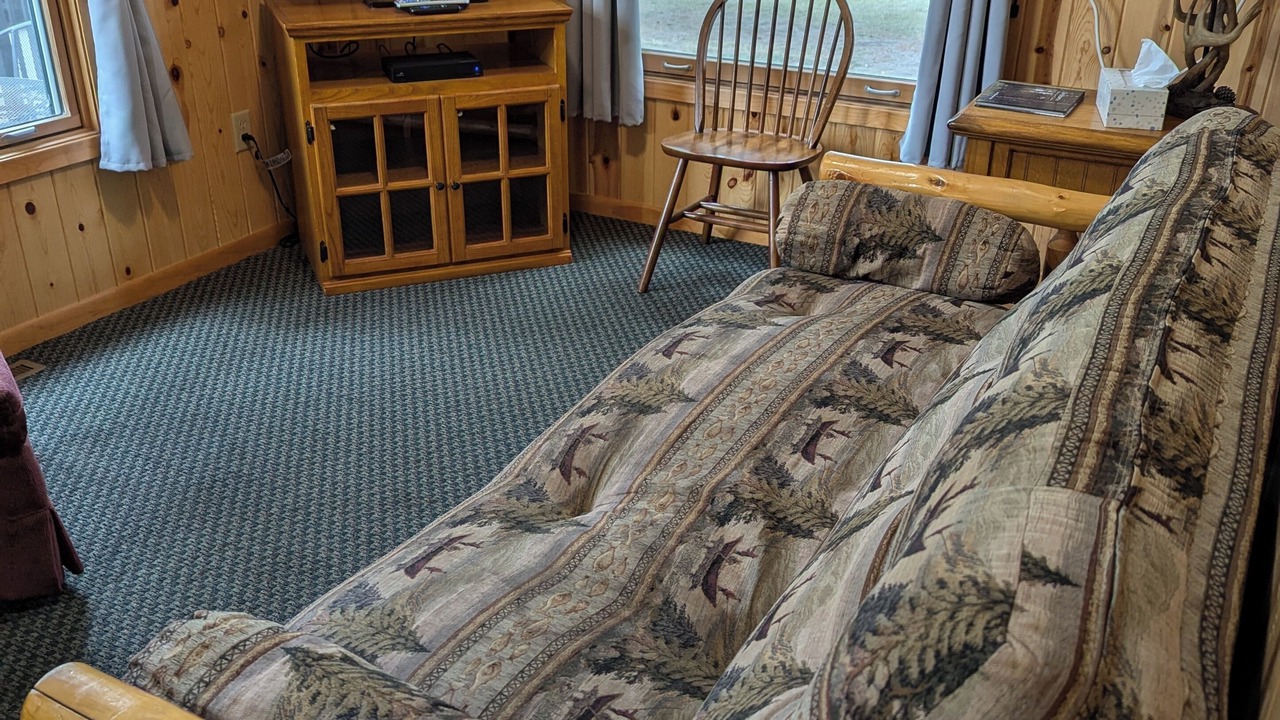 Photo of Livingroom in Park Rapids
