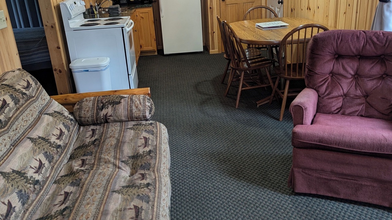 Photo of Livingroom in Park Rapids