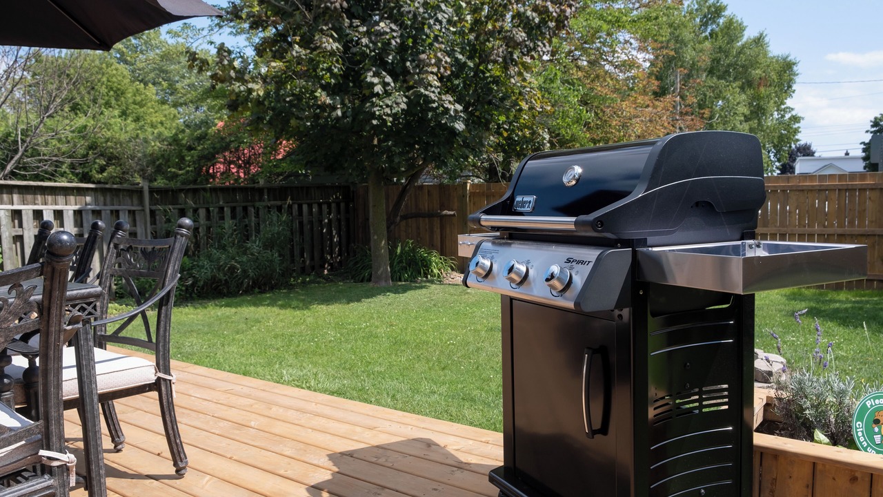 Photo of Outdoor in Port Rowan
