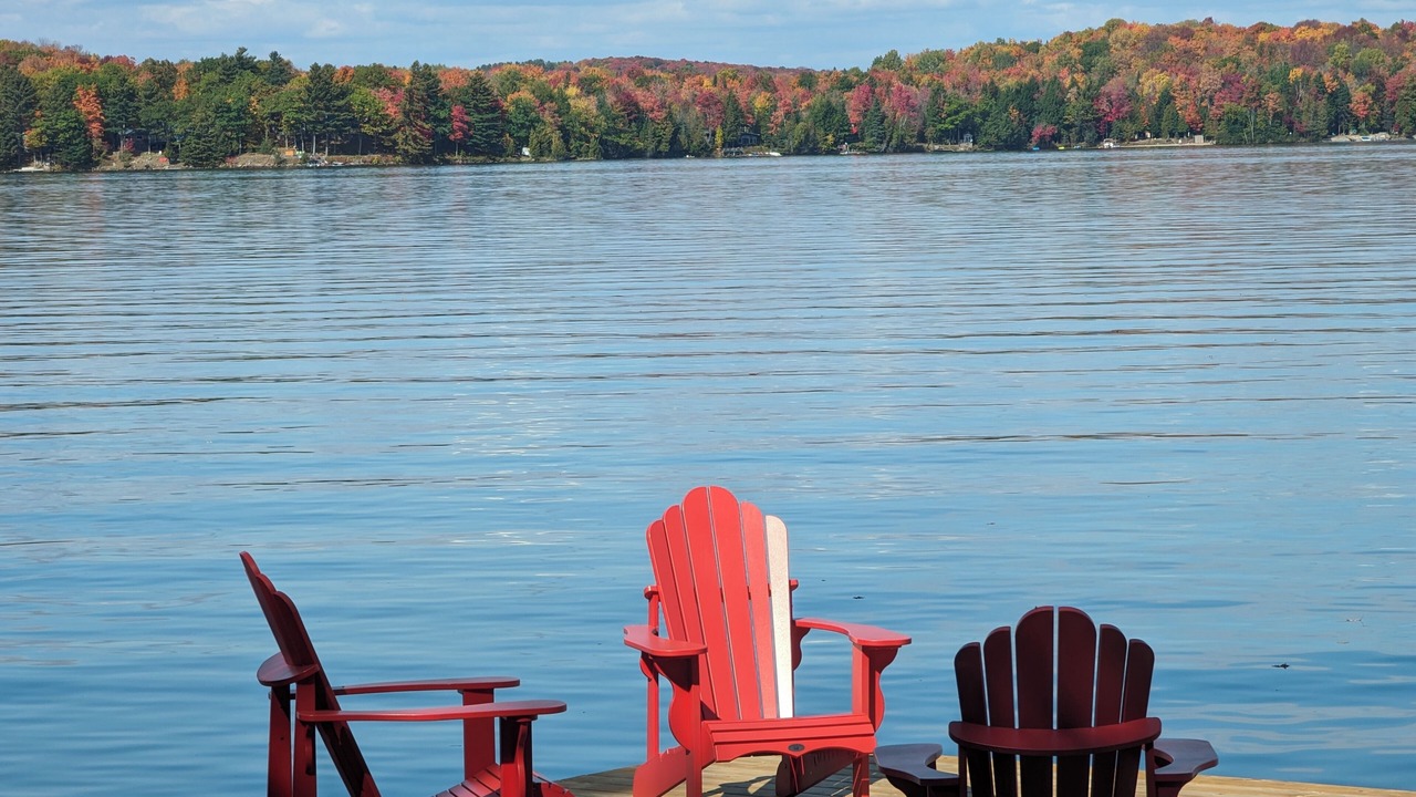 Photo of Outdoor in Wollaston