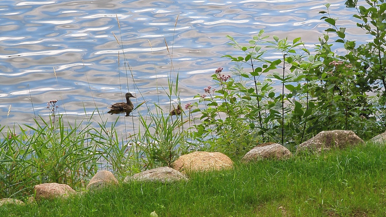 Photo of Outdoor in Wollaston