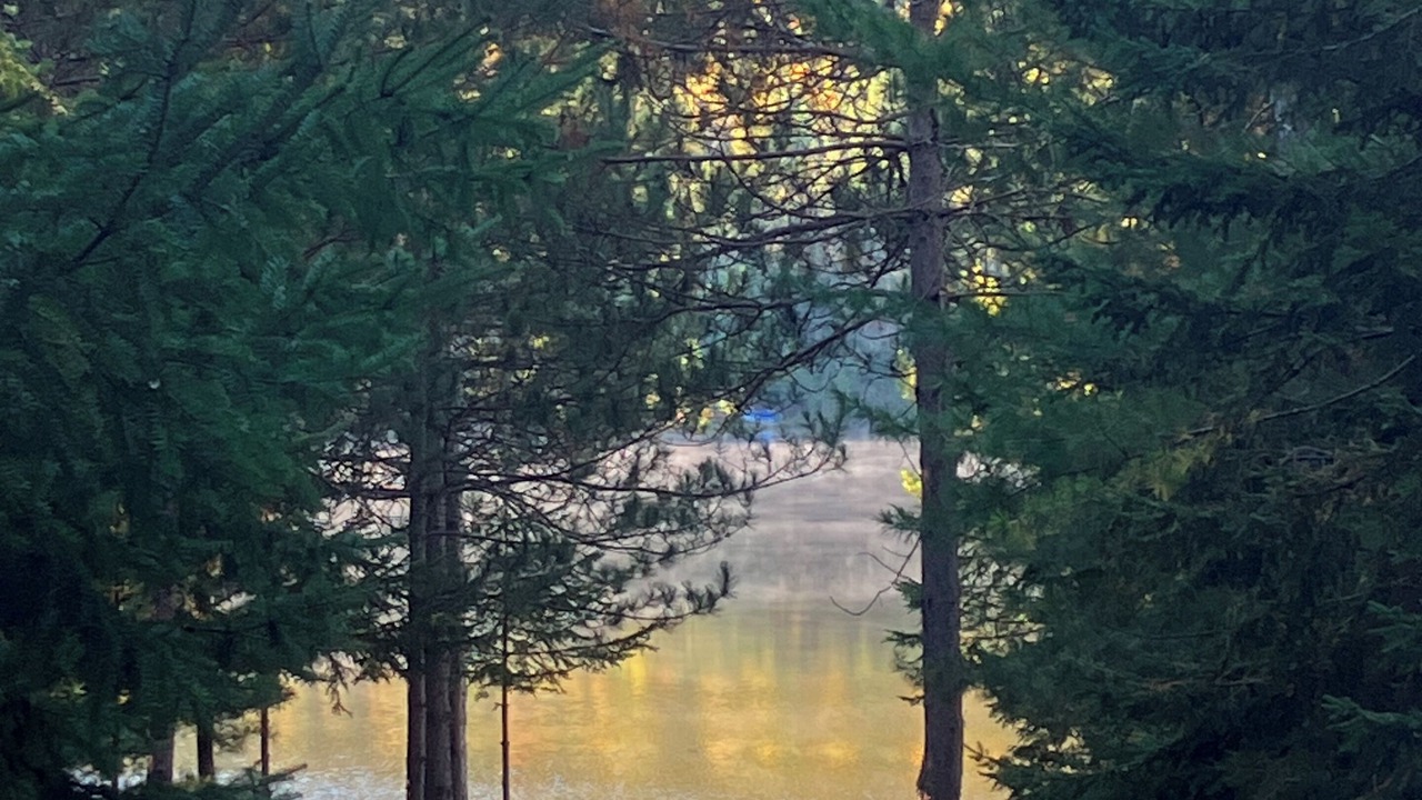 Photo of Others in Madawaska Valley