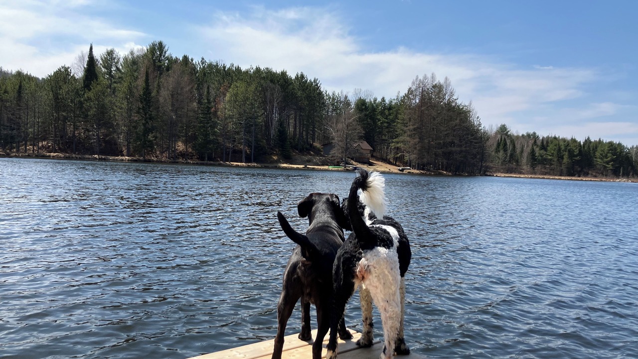 Photo of Others in Madawaska Valley
