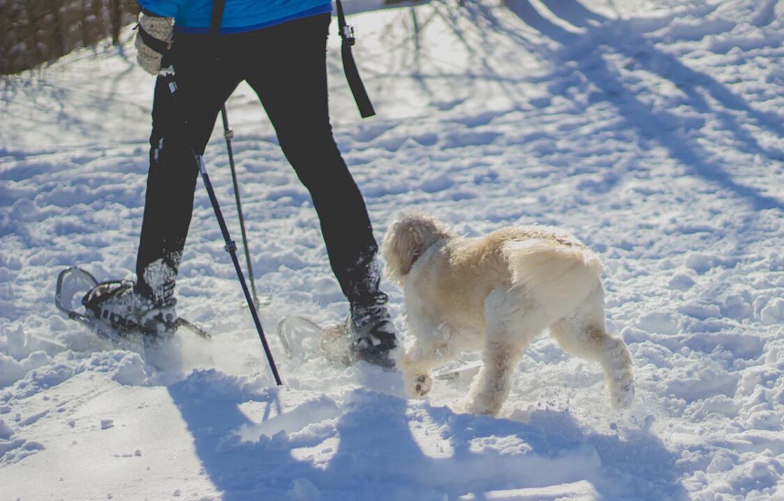 Photo of Others in Duluth