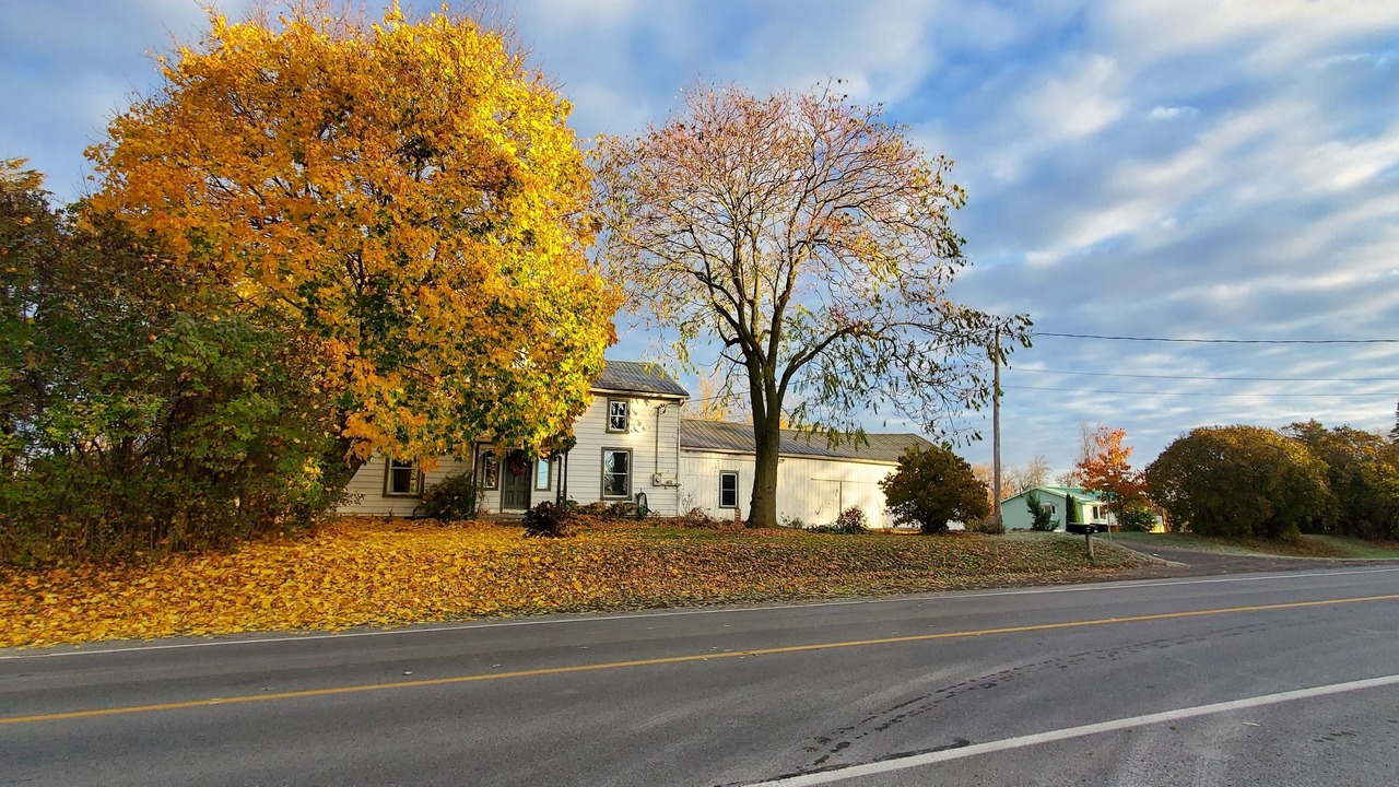 Photo of Outdoor in Greater Napanee