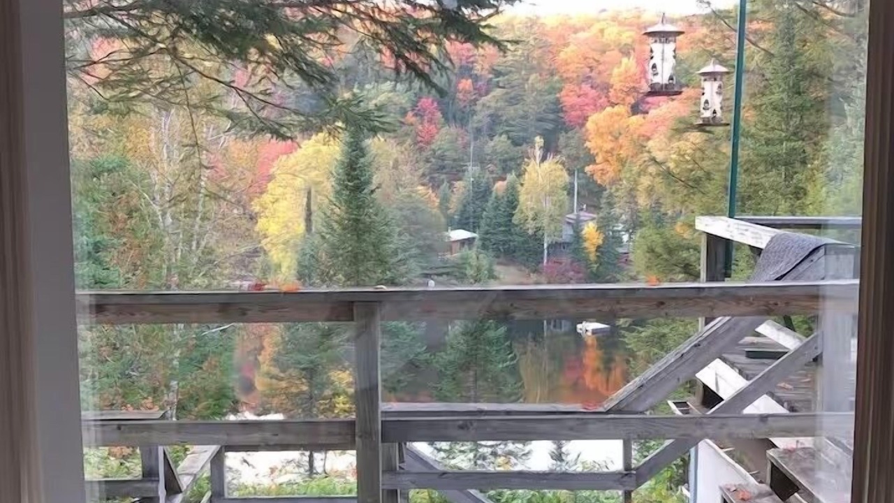 Photo of Others in Hastings Highlands
