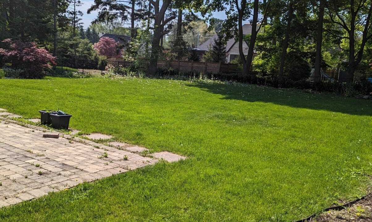 Photo of Outdoor in Clarkson-Lorne Park