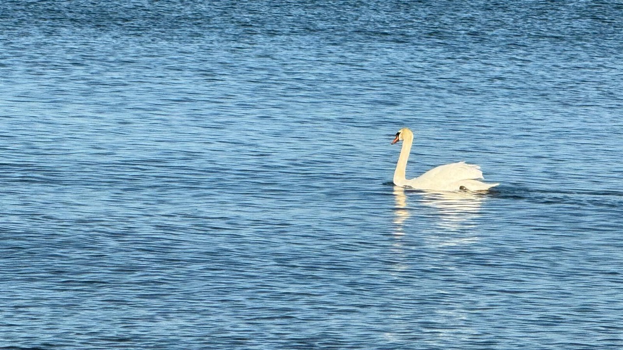 Photo of Others in Clarkson-Lorne Park
