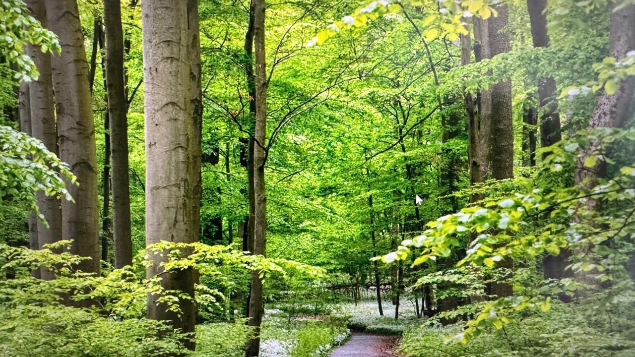 Photo of Outdoor in Clarkson-Lorne Park