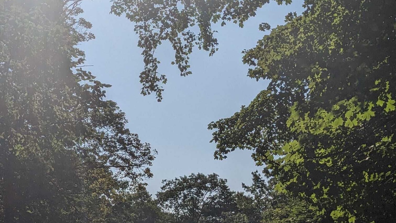 Photo of Others in Clarkson-Lorne Park