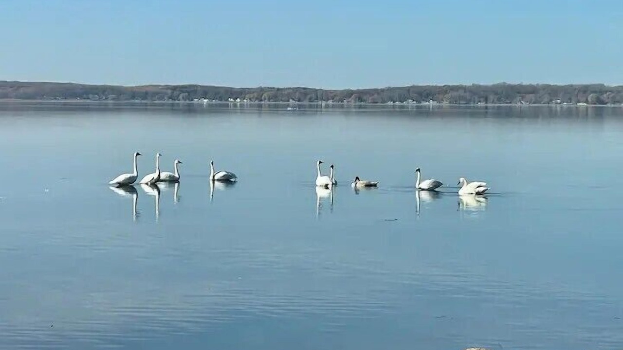 Photo of Others in Detroit Lakes