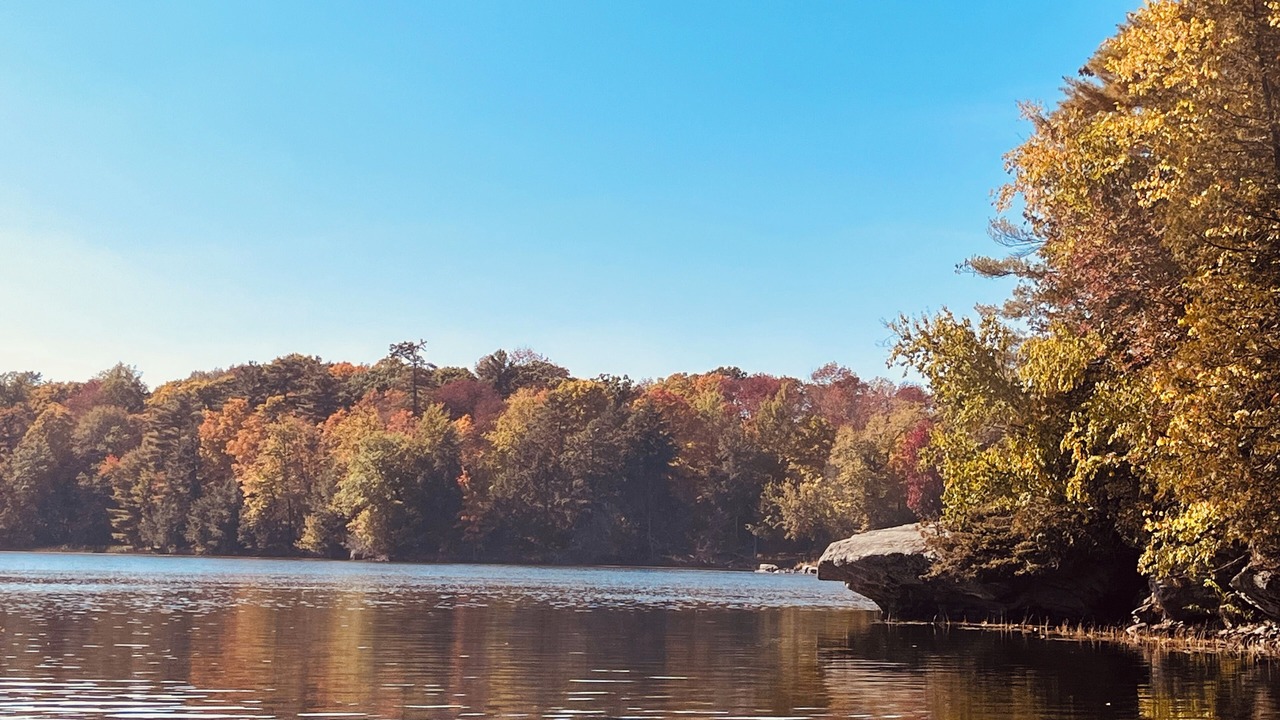 Photo of Others in Frontenac