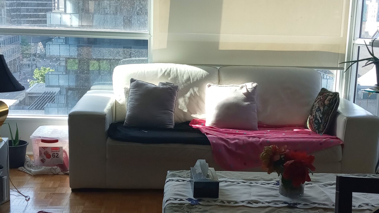 Photo of Livingroom in Bay Cloverhill