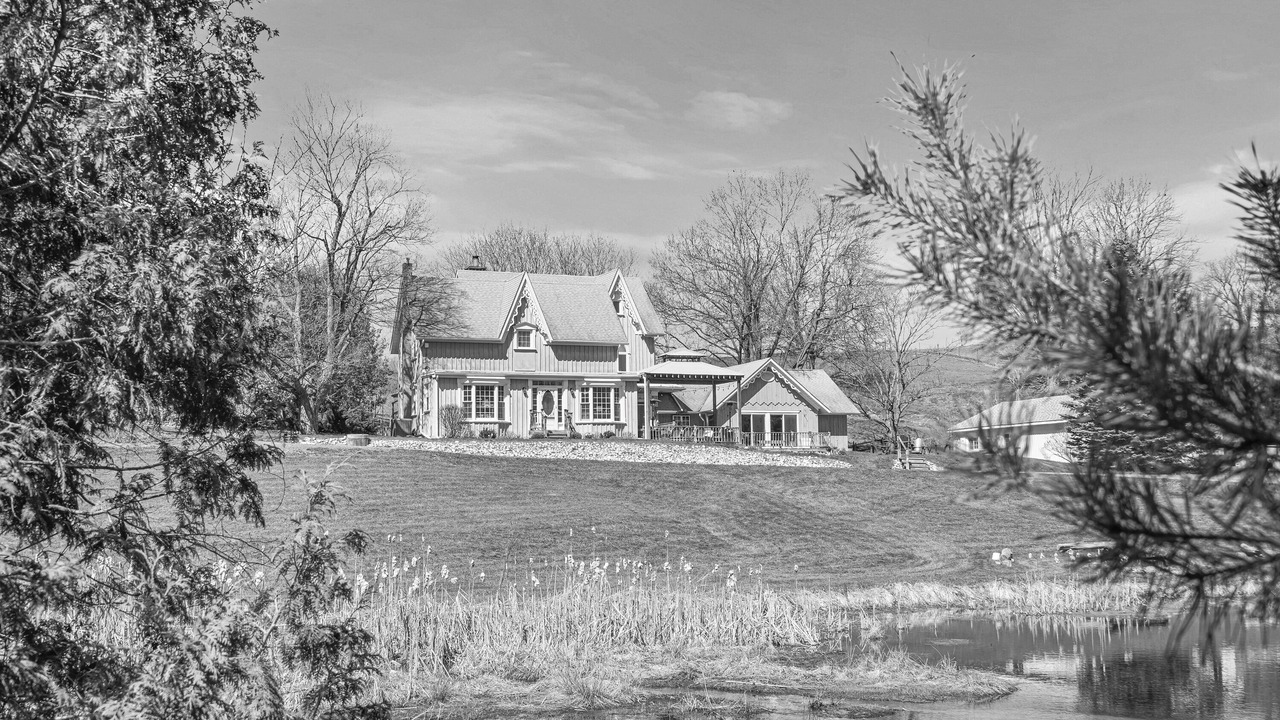 Photo of Outdoor in Mulmur