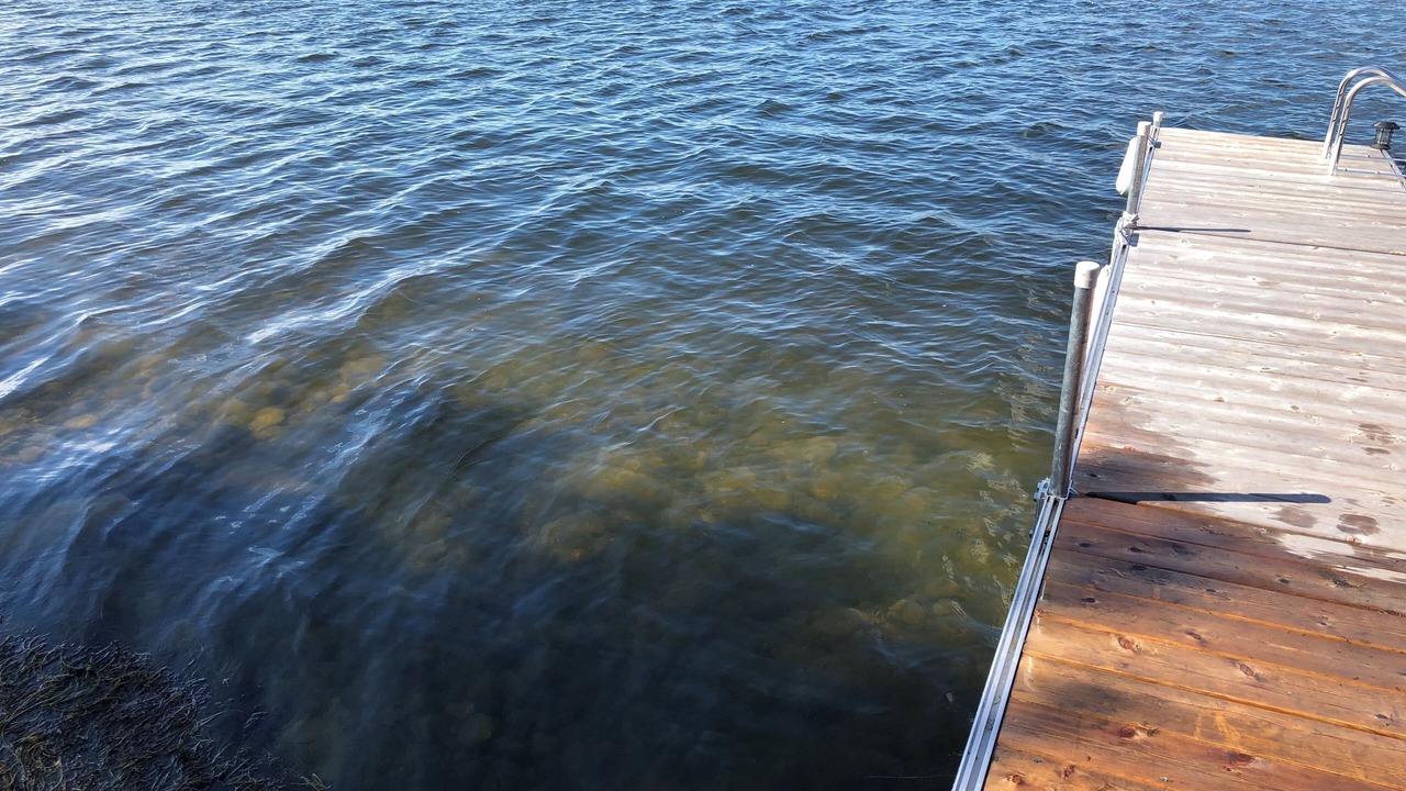 Photo of Others in Otonabee-South Monaghan
