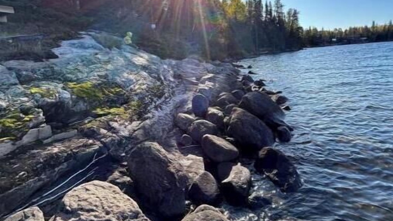 Photo of Others in Northern Ontario