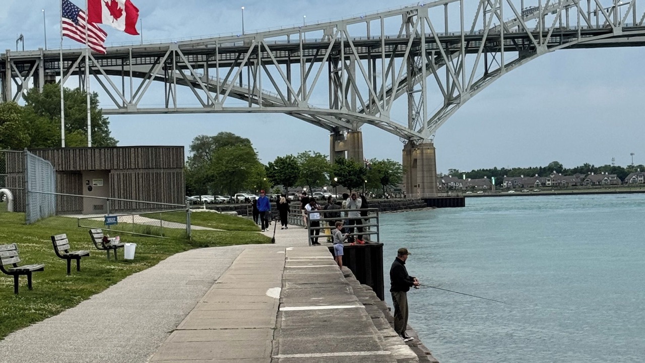 Photo of Others in Sarnia