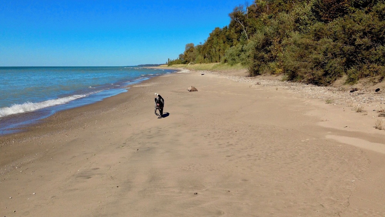 Photo of Others in Port Albert