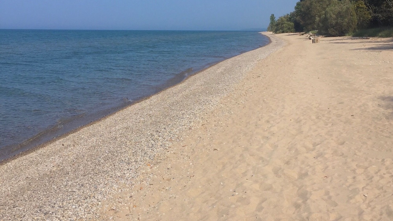 Photo of Others in Port Albert