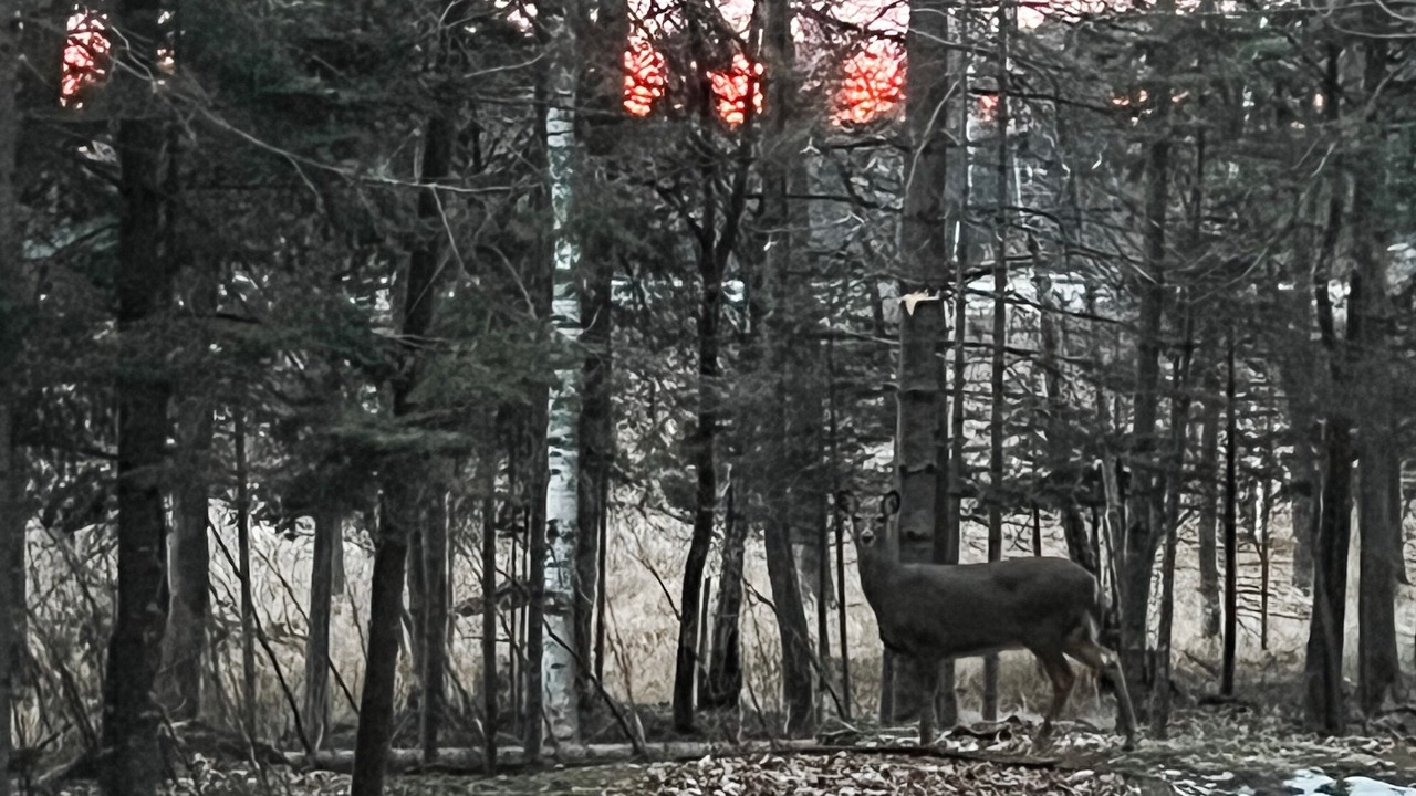 Photo of Outdoor in Backus