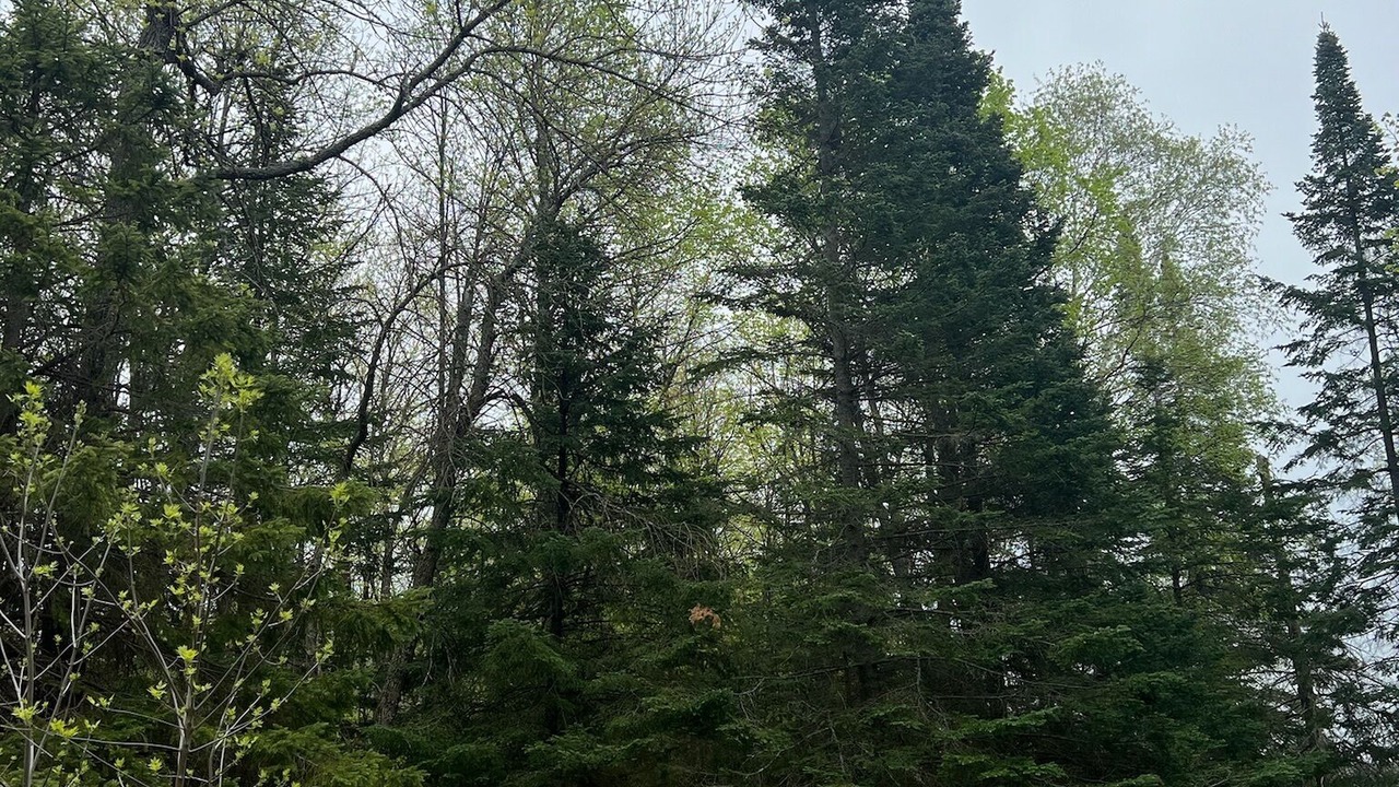 Photo of Outdoor in Backus