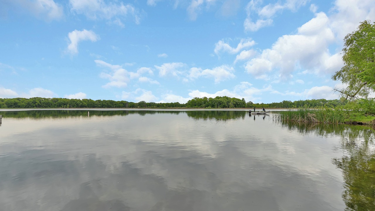 Photo of Others in South Haven