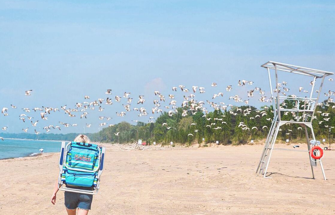 Photo of Others in Grand Bend