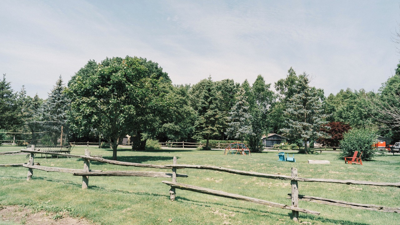 Photo of Others in Picton