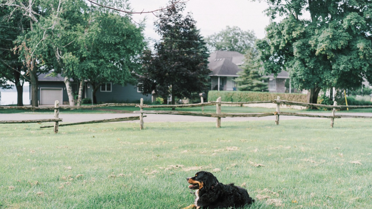 Photo of Outdoor in Picton