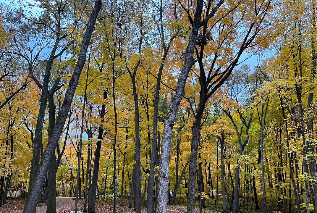 Photo of Outdoor in Deerwood