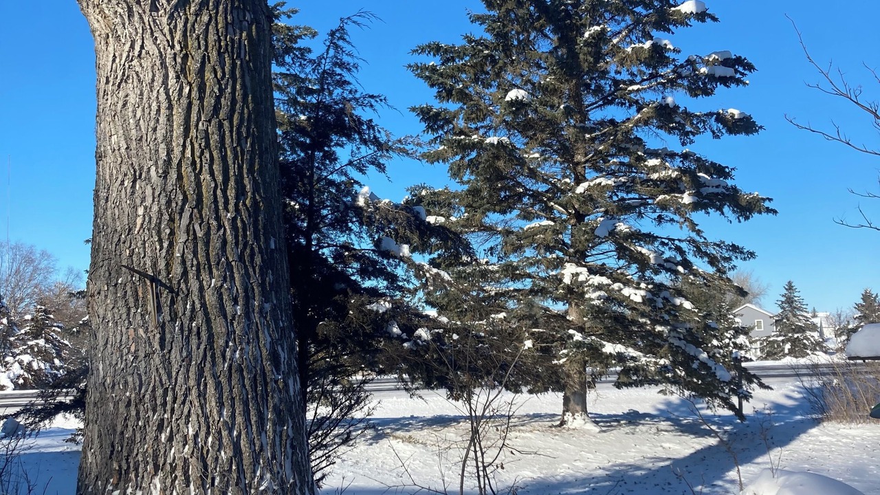 Photo of Outdoor in Litchfield