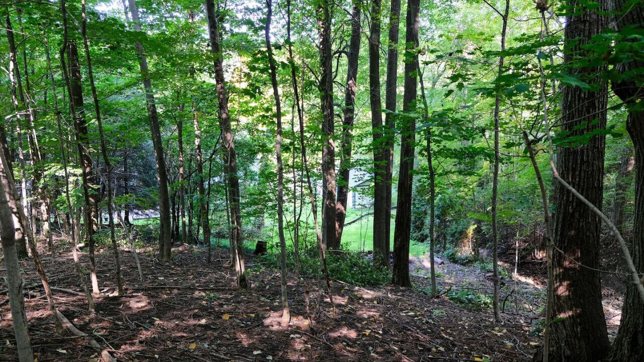 Photo of Others in Meaford