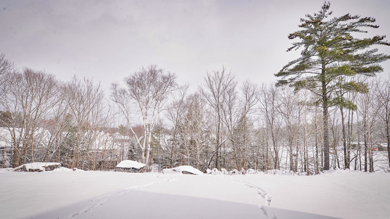 Photo of Others in Gravenhurst