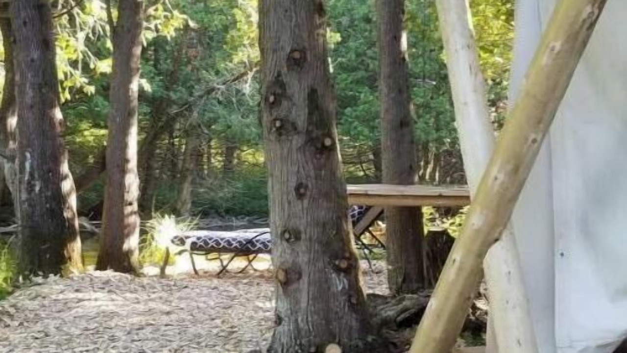 Photo of Outdoor in Chatsworth