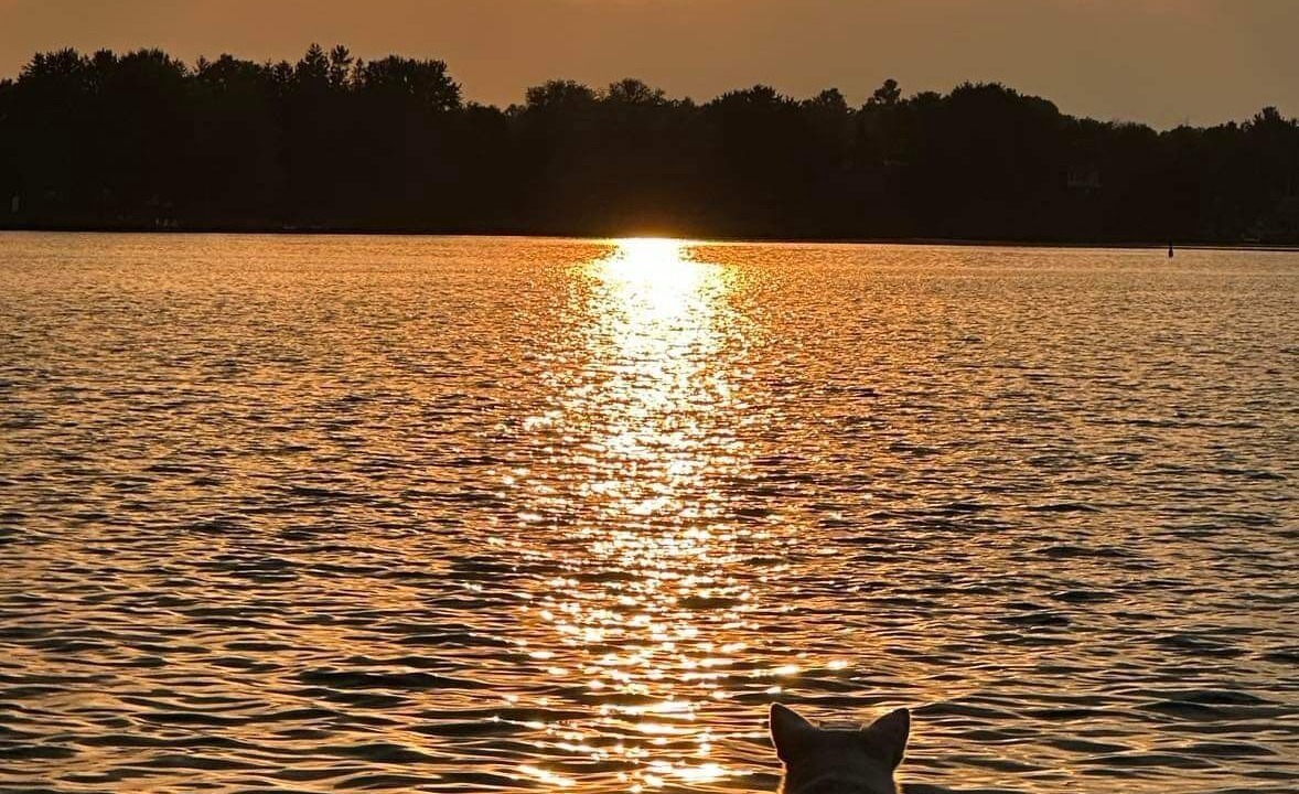 Photo of Others in Lakefield