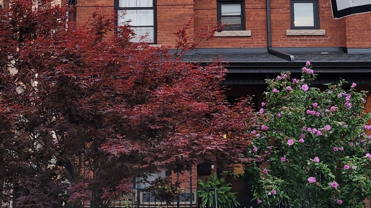 Photo of Outdoor in Little Italy